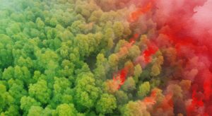 fluorfreie feuerloescher.